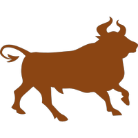 bull