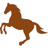 horse